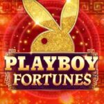 Ulasan Slot Playboy Fortunes
